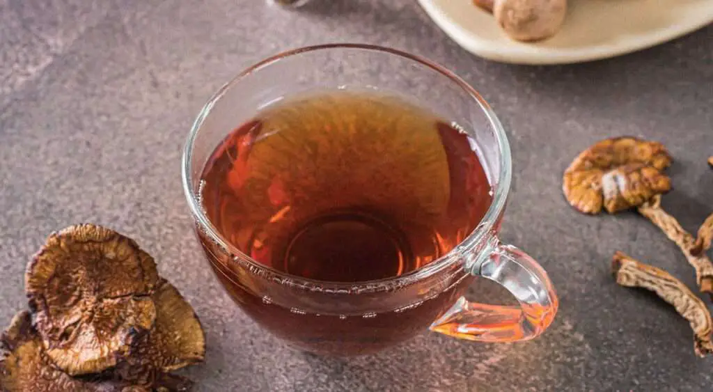 How Long Does Shroom Tea Last?