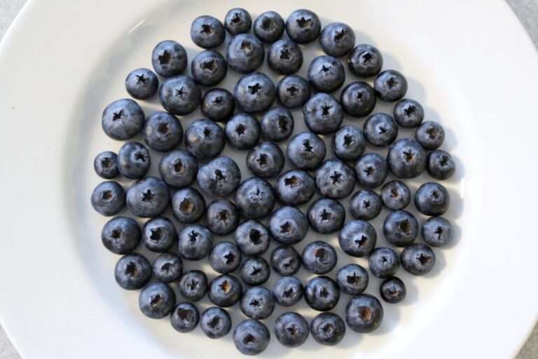 How Many Blueberries in a Serving